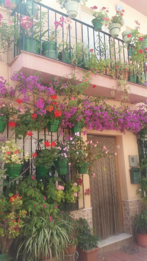 Puerto Deportivo Estepona Exterior photo
